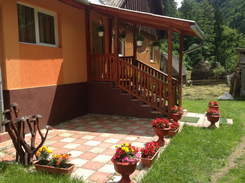Moara Lui Ivan Hanasesti Extérieur photo